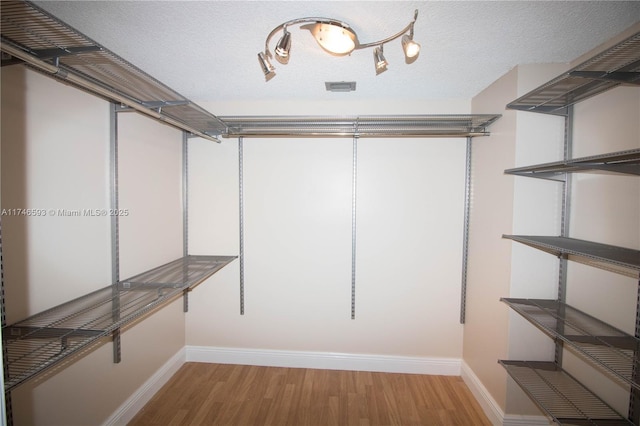 spacious closet featuring light hardwood / wood-style flooring