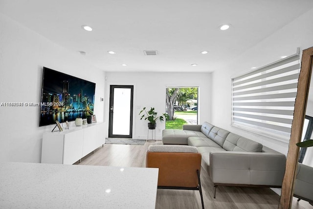 living room featuring light hardwood / wood-style floors