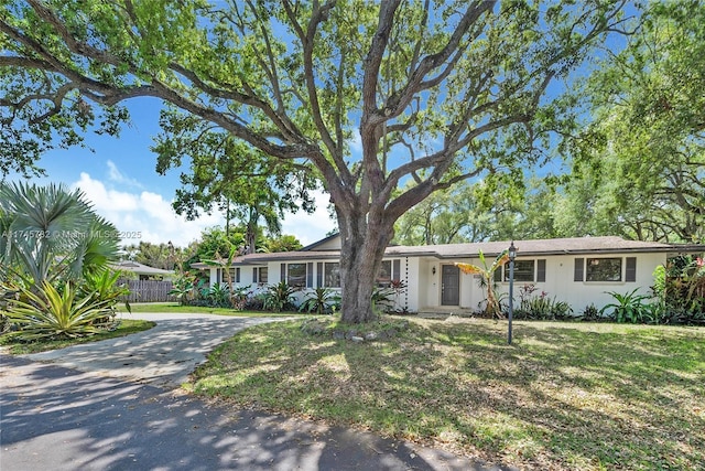 single story home with driveway, fence, and a front lawn