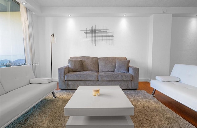 living room with hardwood / wood-style floors