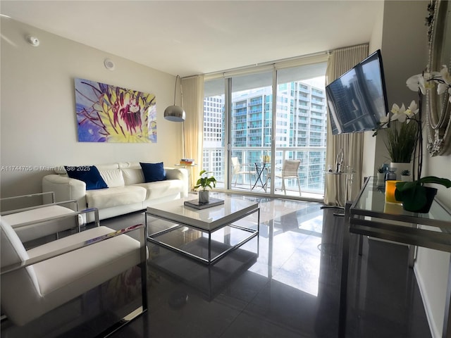 living room featuring expansive windows