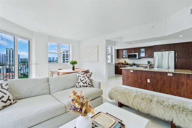 living room with sink