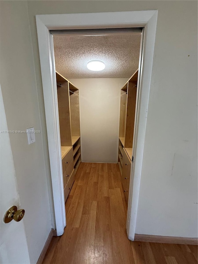 walk in closet with light wood finished floors