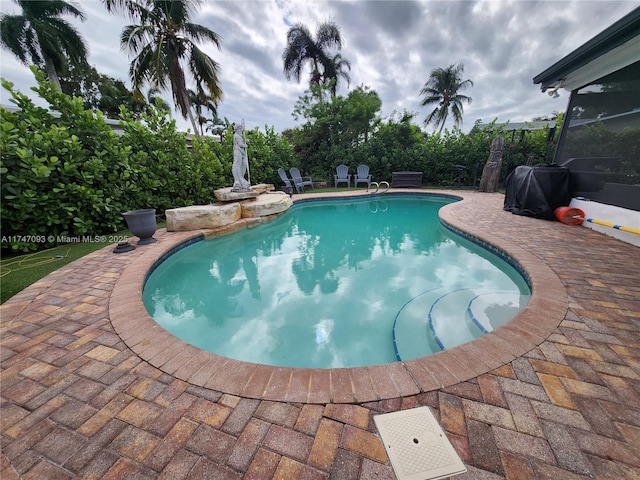 view of swimming pool with a patio