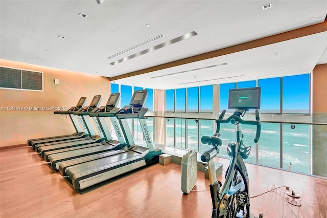 exercise room featuring light wood-type flooring and floor to ceiling windows