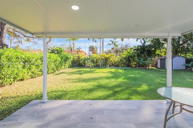 view of yard featuring a patio and a storage unit