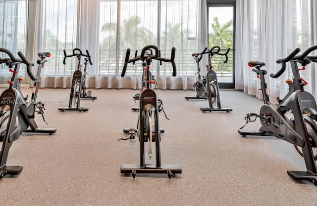 exercise room with healthy amount of natural light