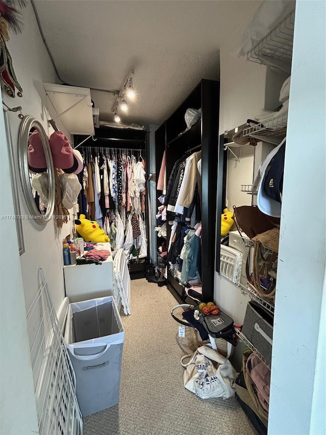 spacious closet with carpet flooring