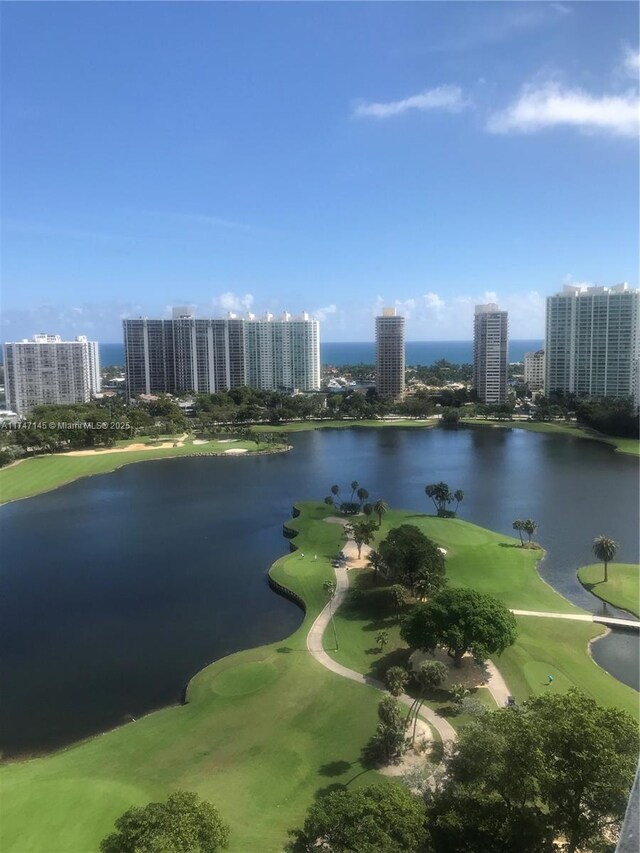 20355 NE 34th Ct Unit 2429, Aventura, FL 33180 - photo 10