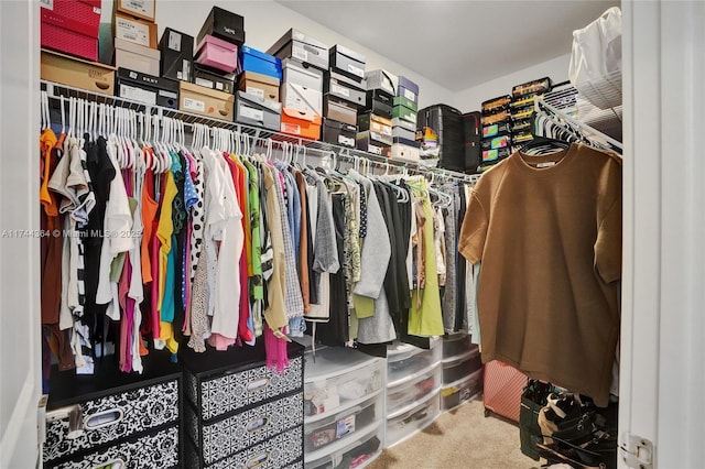 spacious closet with carpet floors