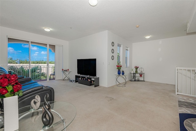 carpeted living room with a textured ceiling