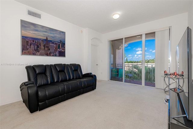 living room featuring carpet flooring