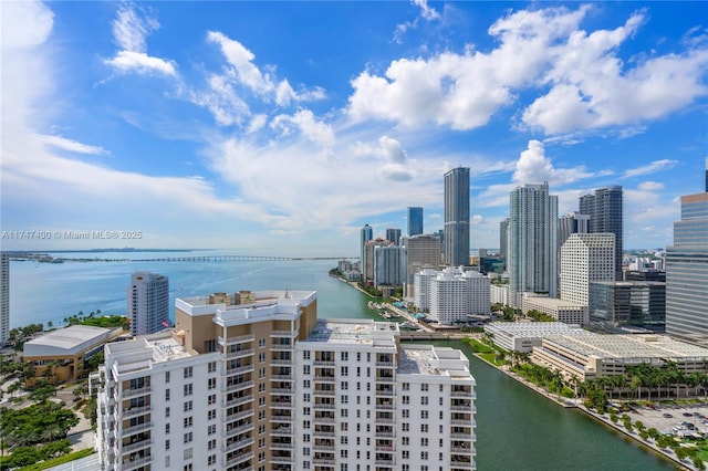 bird's eye view with a water view