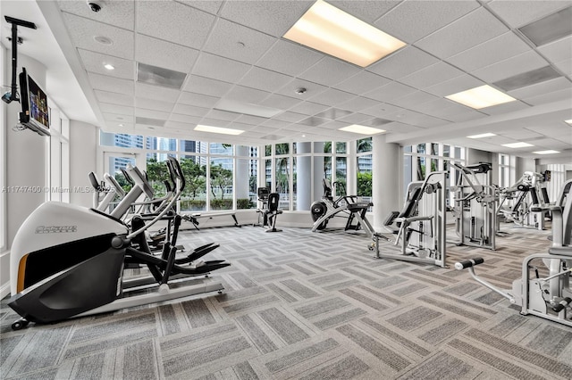 workout area with a paneled ceiling and carpet floors