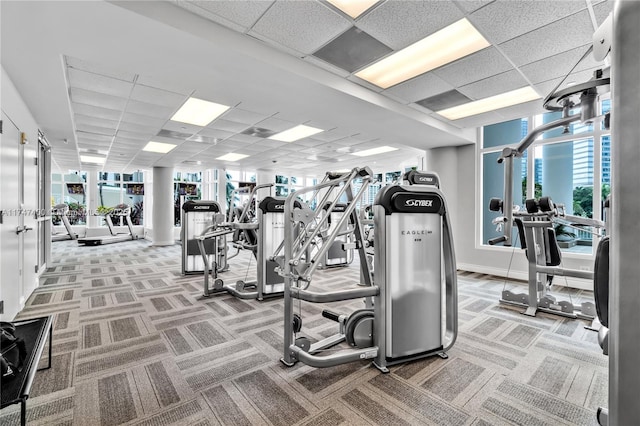 exercise room with a paneled ceiling and light colored carpet