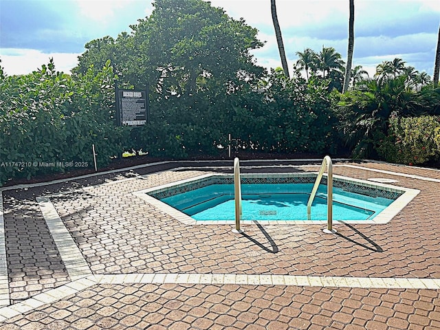 view of swimming pool with a patio