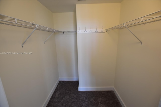 walk in closet with dark colored carpet