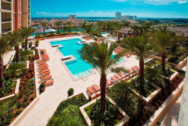 view of swimming pool with a patio