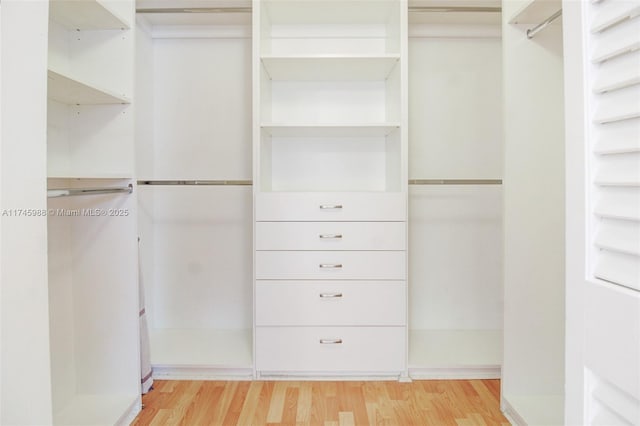 spacious closet featuring light wood-style flooring