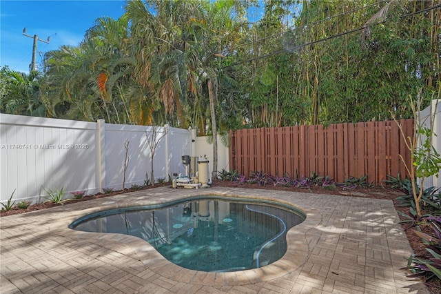 view of swimming pool with a patio area