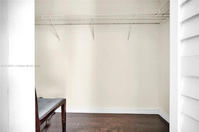 walk in closet featuring dark hardwood / wood-style floors