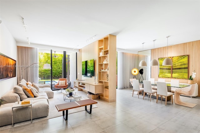 living room featuring track lighting