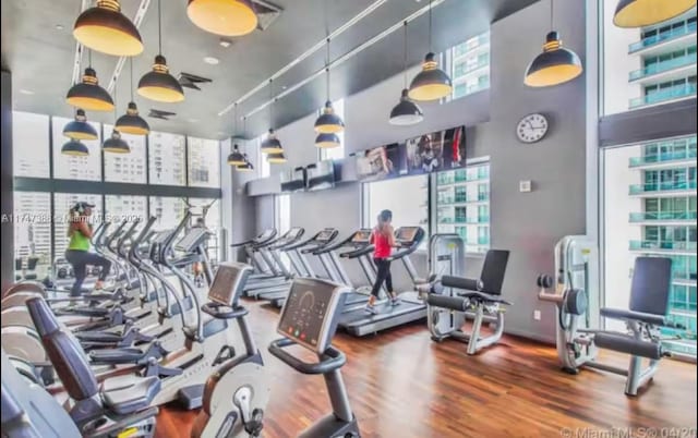 gym with floor to ceiling windows and wood-type flooring