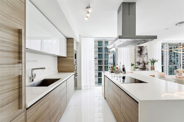 kitchen featuring a textured ceiling, black electric cooktop, a sink, ventilation hood, and modern cabinets