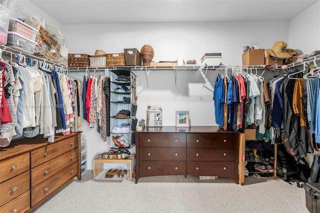 walk in closet featuring carpet