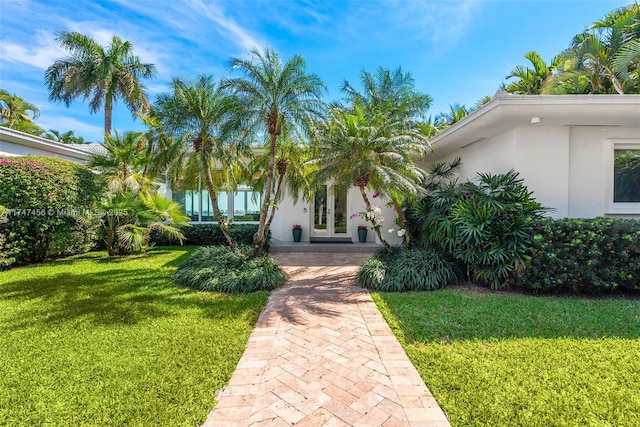 7331 Belle Meade Island Dr, Miami, FL 33138 - view of front of house featuring french doors, stucco siding, and a front lawn