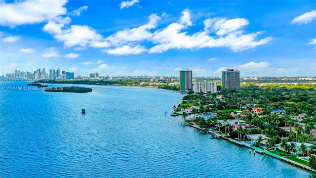 7331 Belle Meade Island Dr, Miami, FL 33138 - water view with skyline