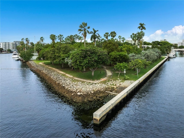 dock area featuring a water view