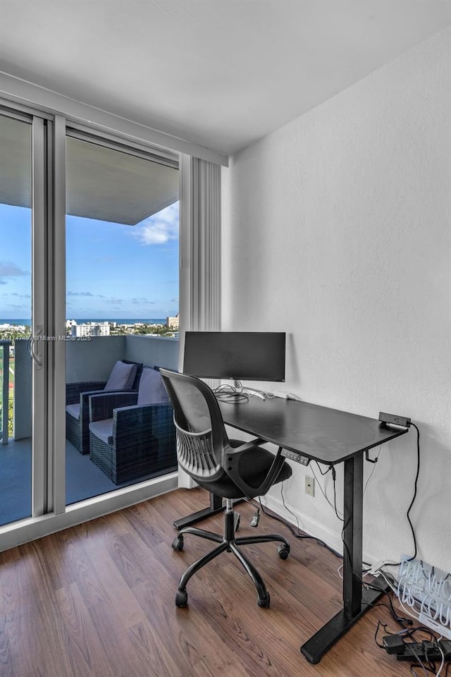 office area featuring hardwood / wood-style floors and a healthy amount of sunlight