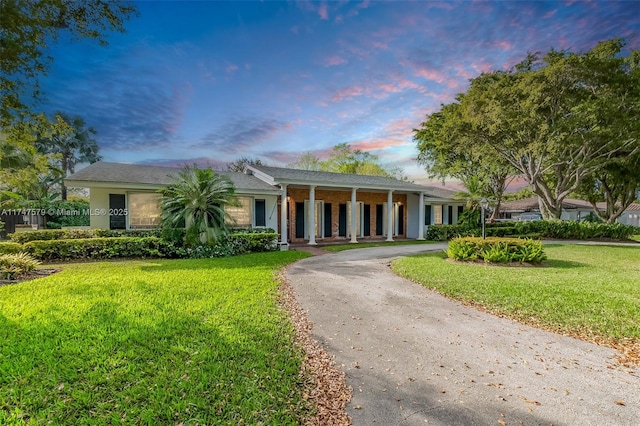 view of front of house with a yard