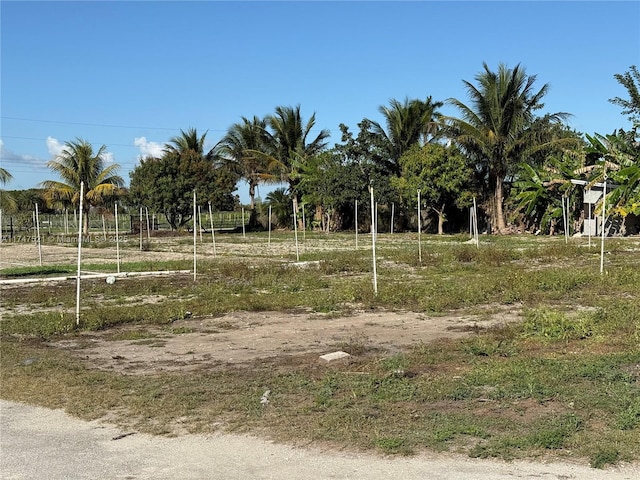 view of yard with a rural view