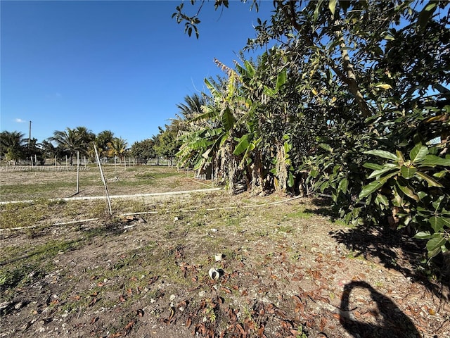 view of yard with a rural view