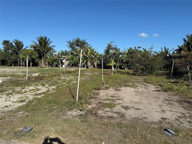 view of yard featuring a rural view