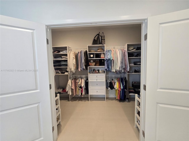 view of spacious closet