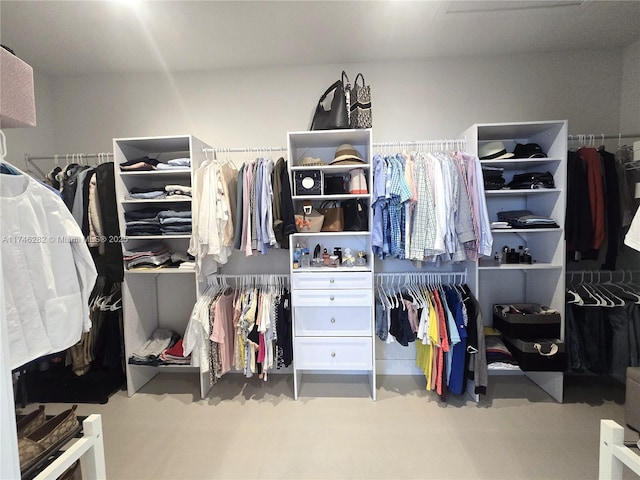 view of spacious closet