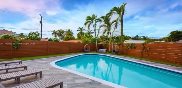 view of pool with a patio