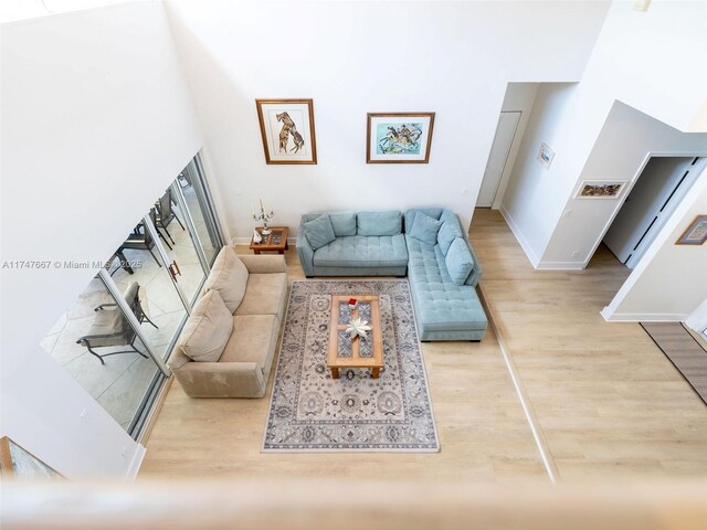 living room featuring wood-type flooring and a towering ceiling