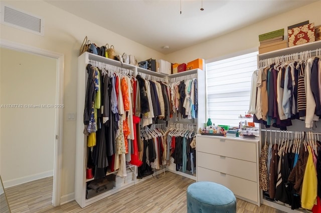 walk in closet with light wood-style flooring and visible vents