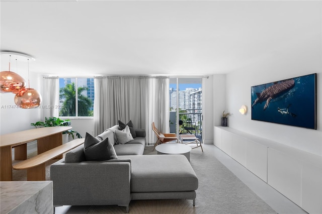 living room with a healthy amount of sunlight, a wall of windows, and carpet