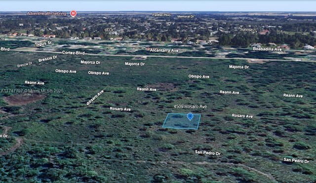 4509 Rosaro Ave, Sebring, FL 33872