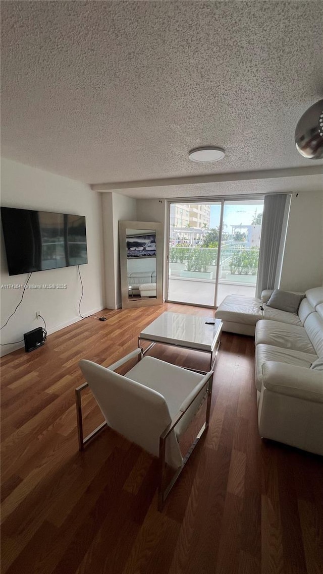 living room featuring wood finished floors and a textured ceiling