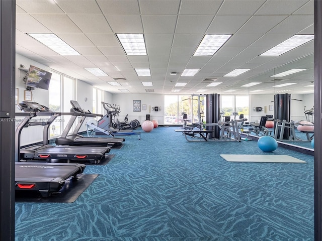 gym with carpet and a drop ceiling