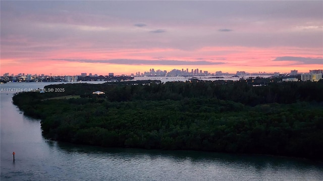 property view of water with a view of city