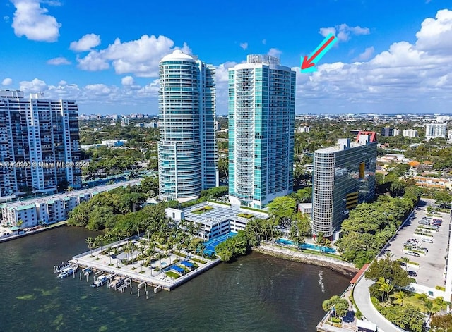 aerial view with a water view