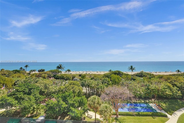 property view of water with a beach view