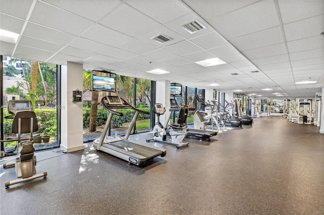 gym featuring floor to ceiling windows and a drop ceiling